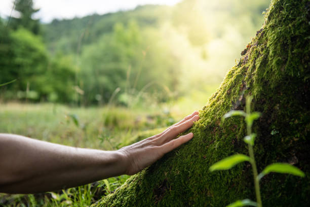 Best Residential Tree Removal  in Leander, TX